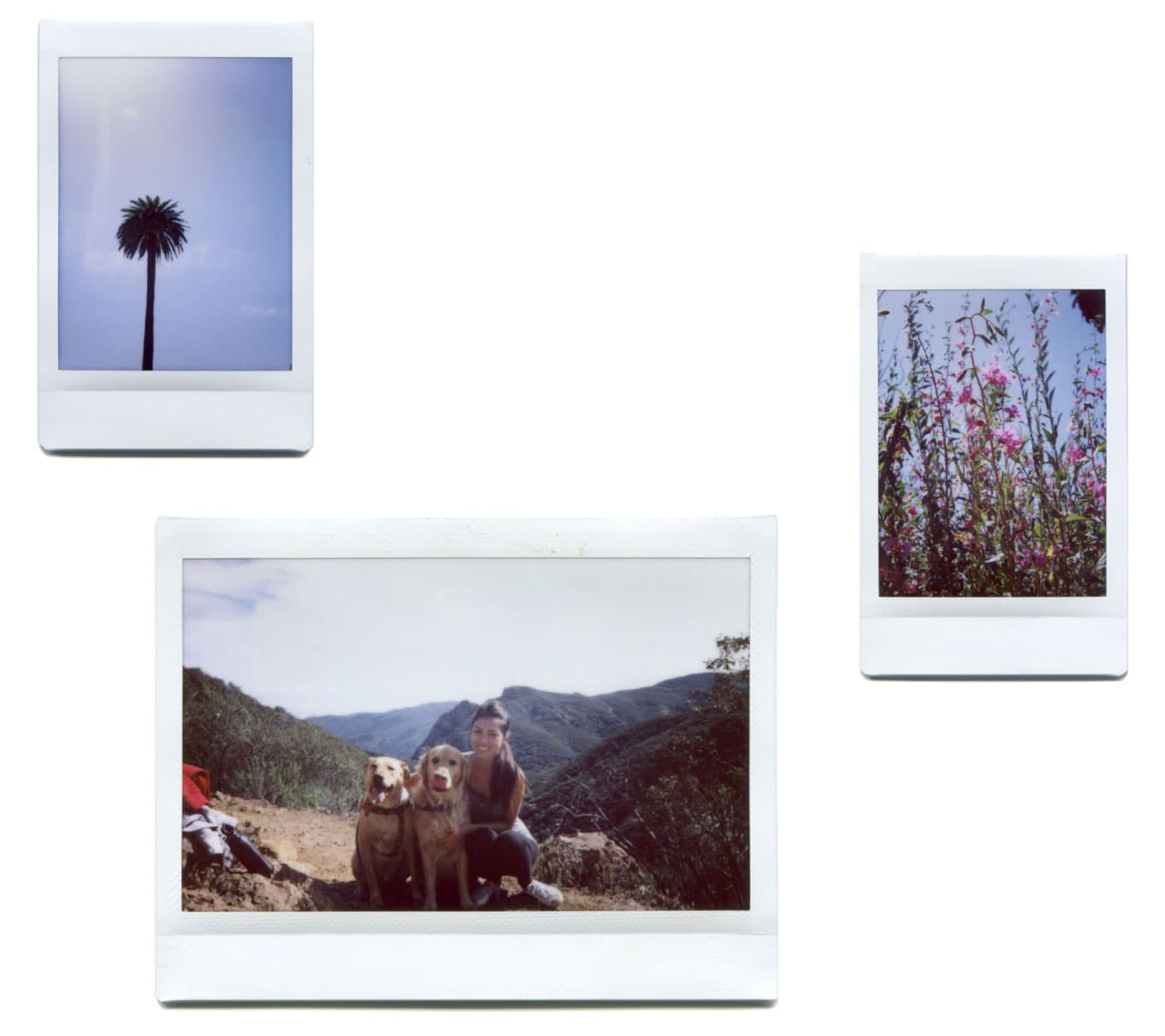 Instax images